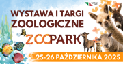 BANER KOTY i ZOO - WYDARZENIE FB - 2