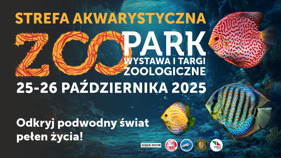 zoo25j_akwa_896x505.jpg