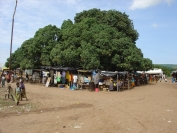 Targ w wiosce Nsumbu